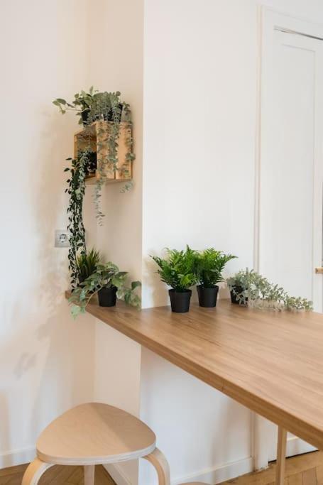 Downtown Cozy Old Town Apartment